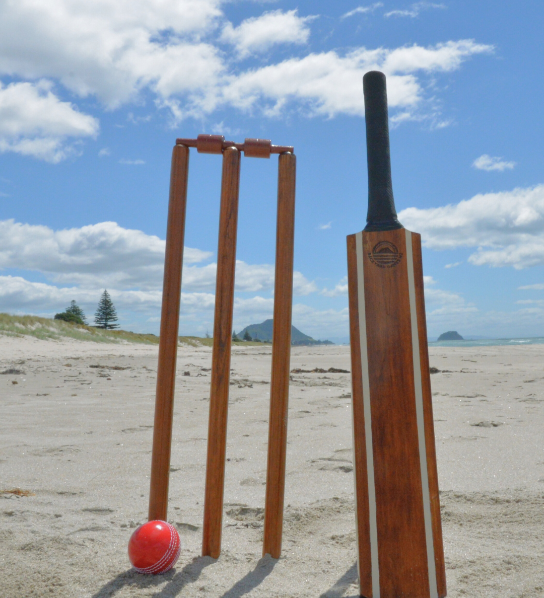 Backyard Cricket – The Classic Game Everyone Joins