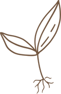 BYG_Kiwi_Roots.png