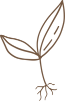 BYG_Kiwi_Roots.png