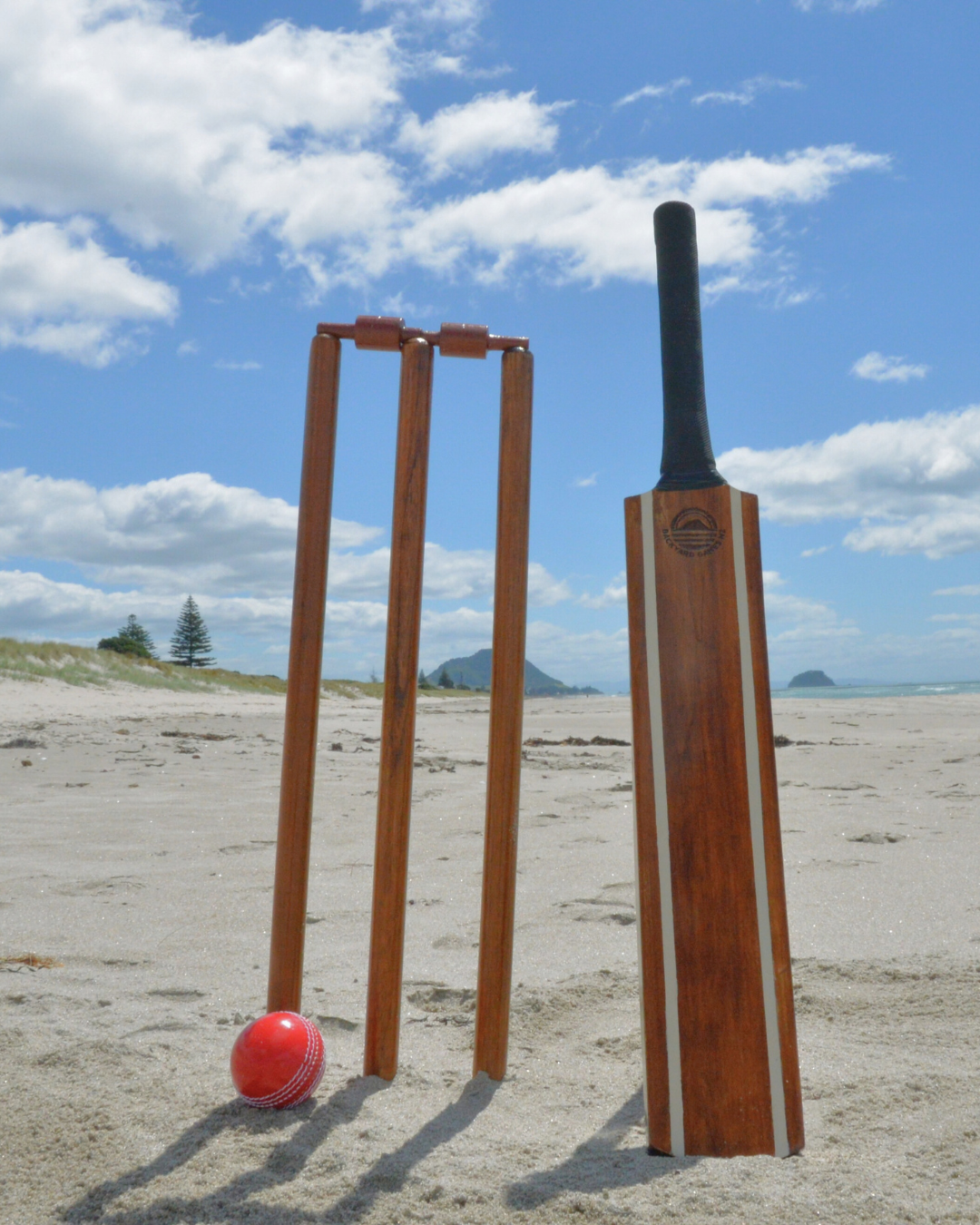 Backyard Cricket Set
