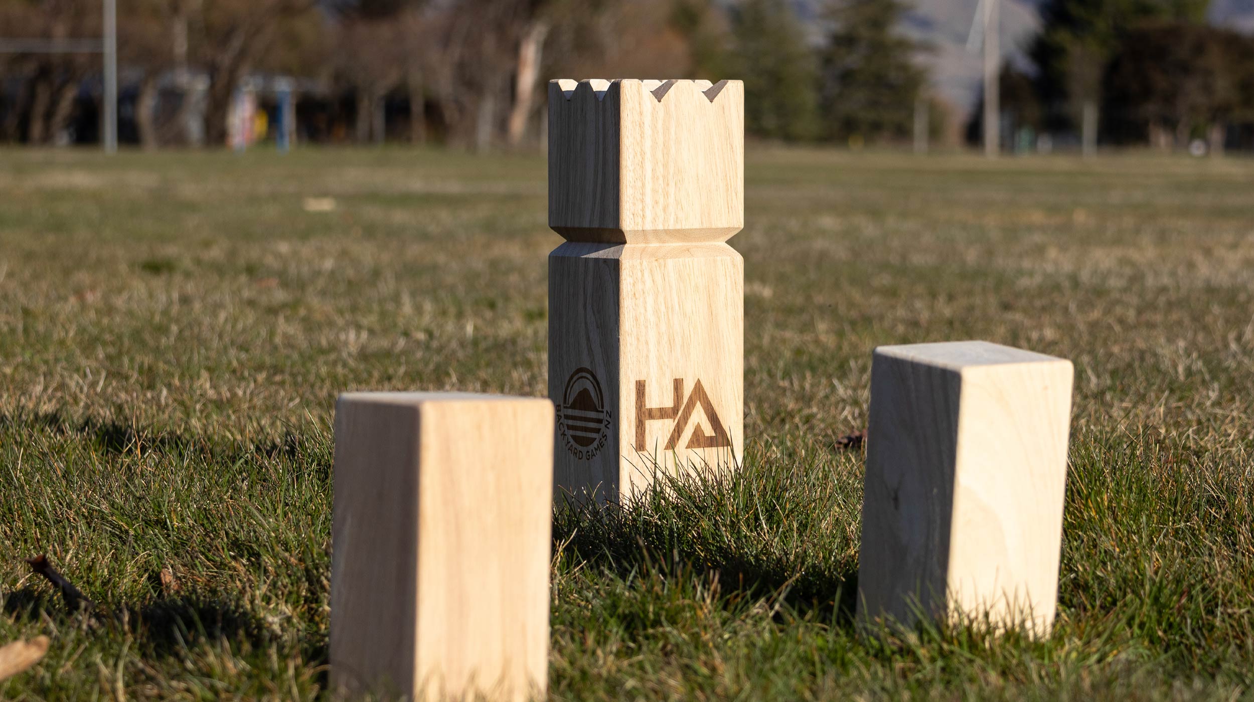 Hanmer-Adventure_Games-Banner-2.jpg