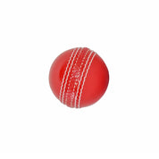Backyard Cricket Set