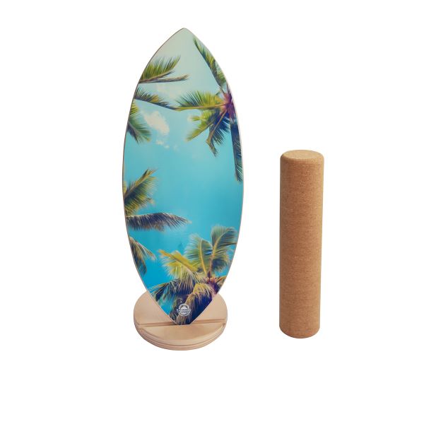 palm-balance-board-1.jpg