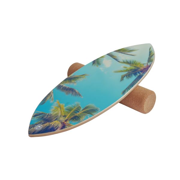 palm-balance-board-3.jpg