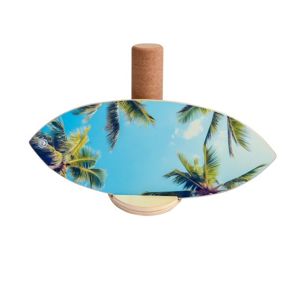 Palm Balance Board