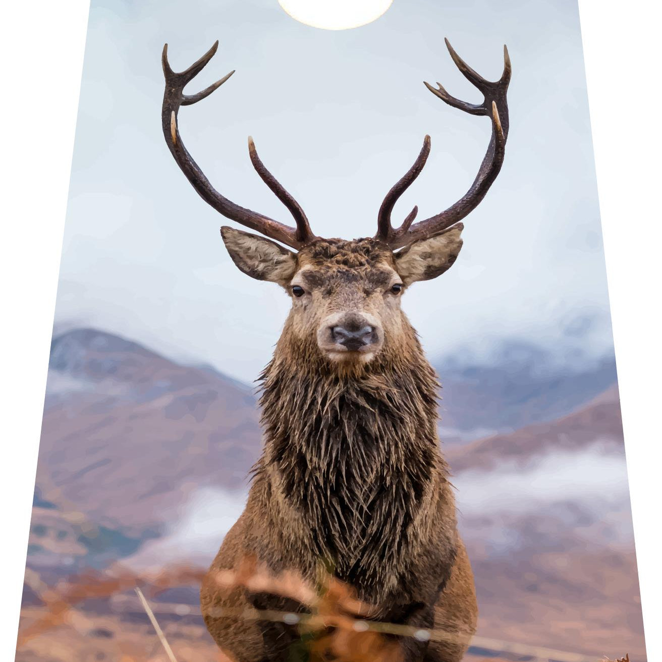 Stag Design Cornhole Board -  stag and mountain backdrop vinyl decal on NZ pine and birch plywood